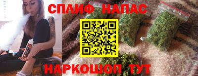 стаф Ставрополь