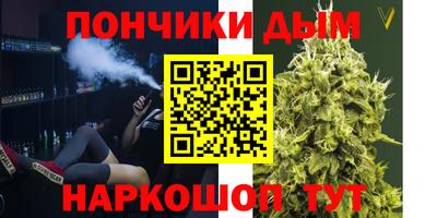 амф Сланцы