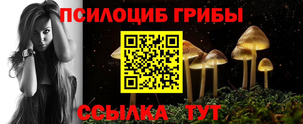 Псилоцибиновые грибы MAGIC MUSHROOMS Новосибирск